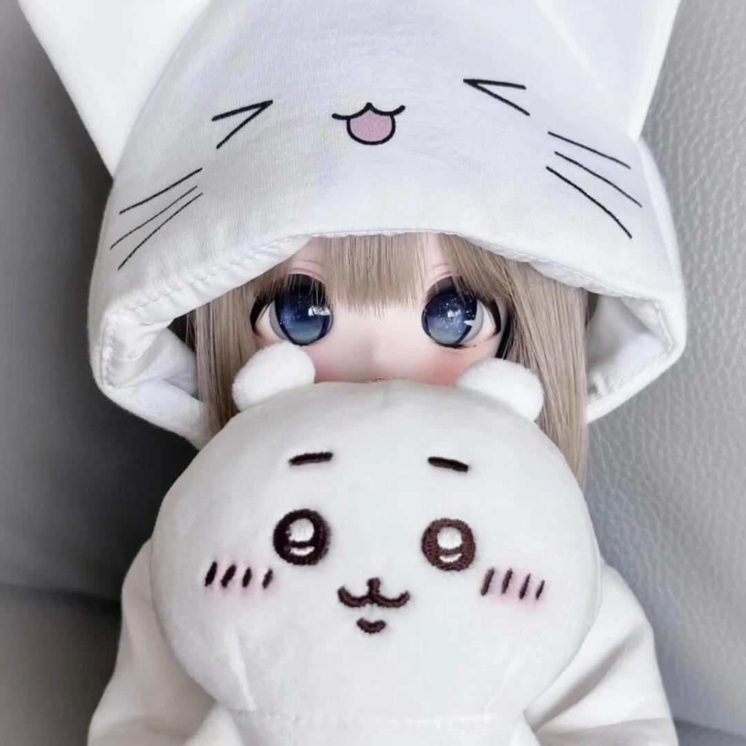 猫猫大王