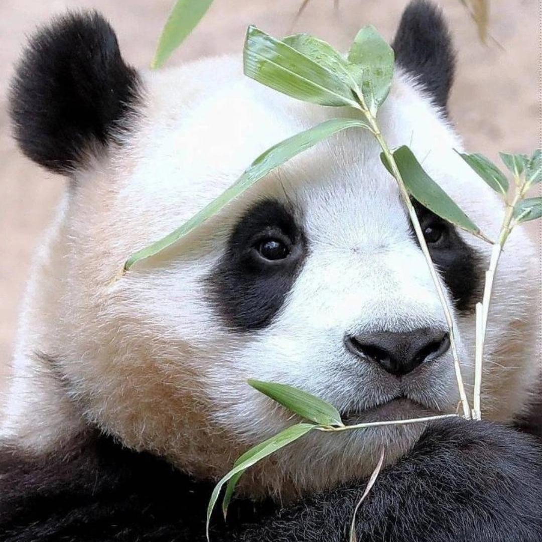 四季又四季，我们何时下江南🌻🌻🌻