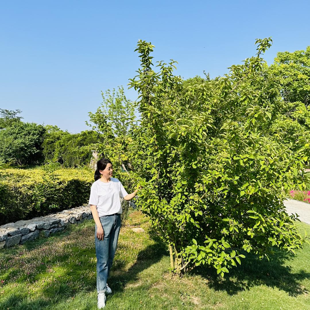 千家福百货超市