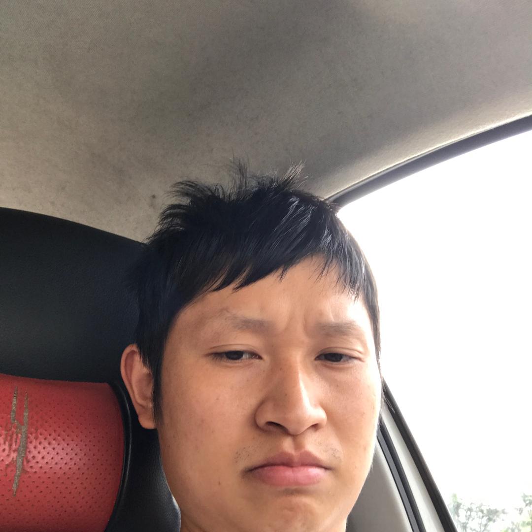 骑猪看海