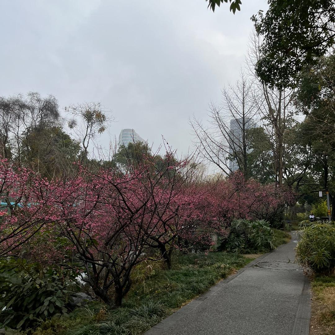 小昊