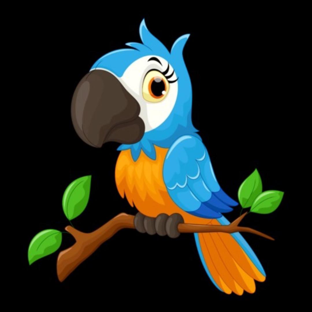 译名小宠🦜