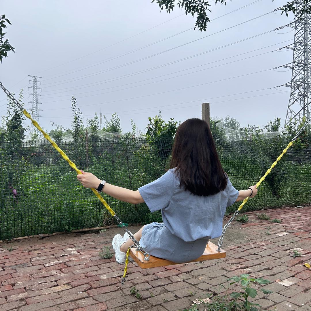 洋柿子