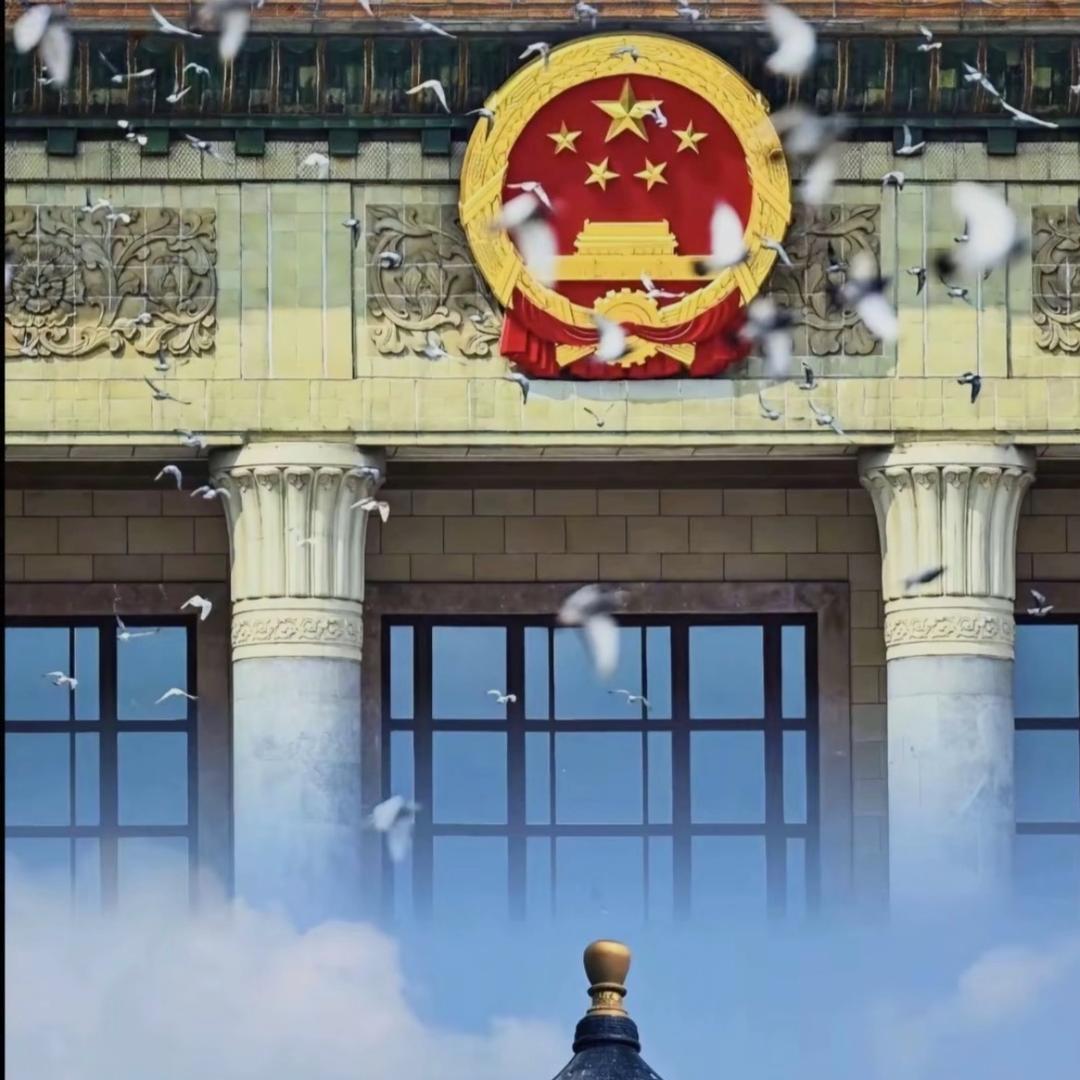 桂东春纪 丸美，挖机出租