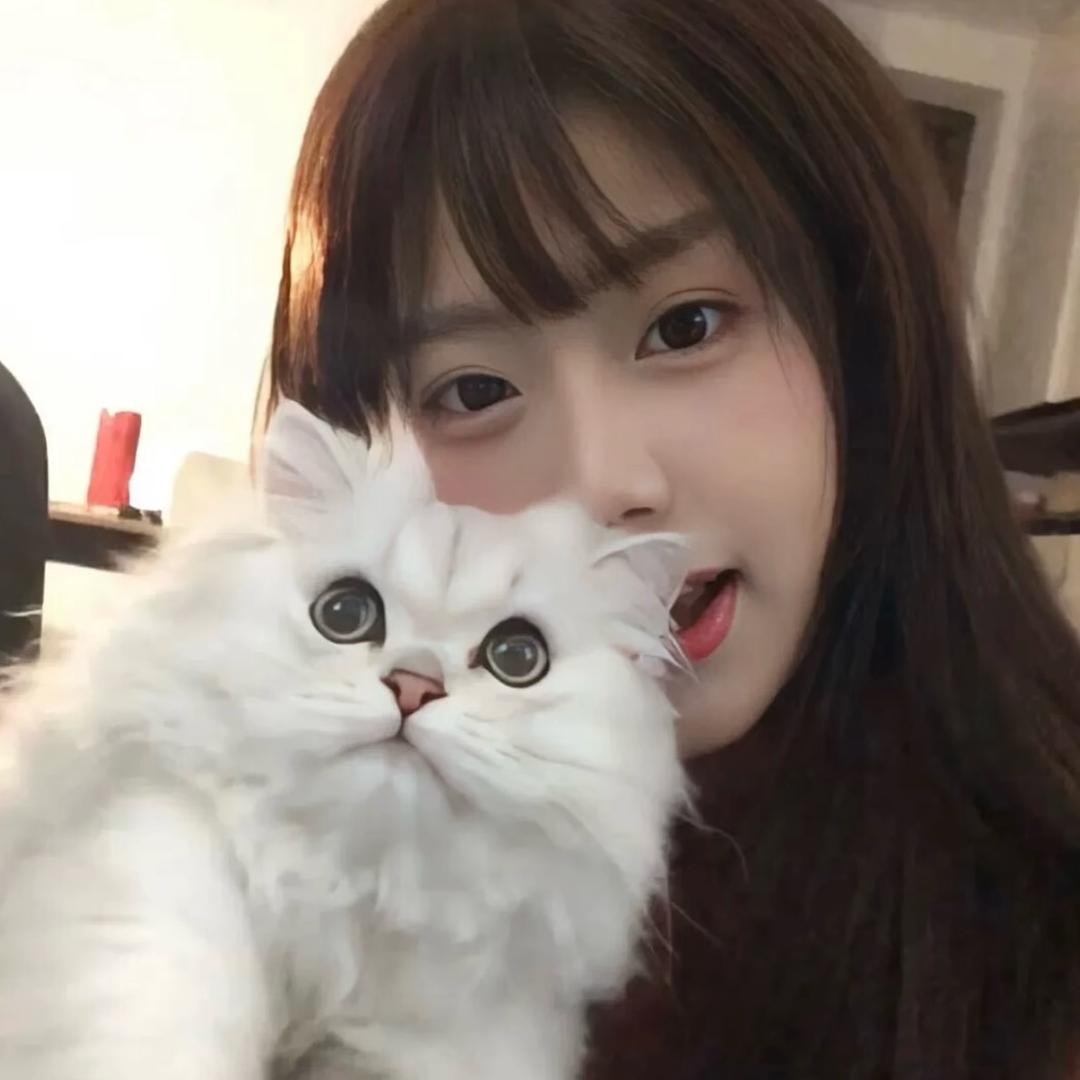 超困困困小狗
