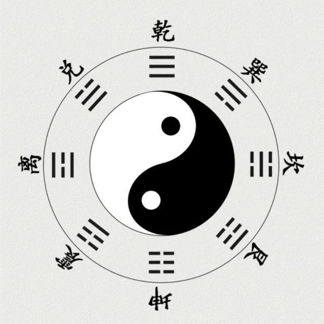 阿鸿说球日记