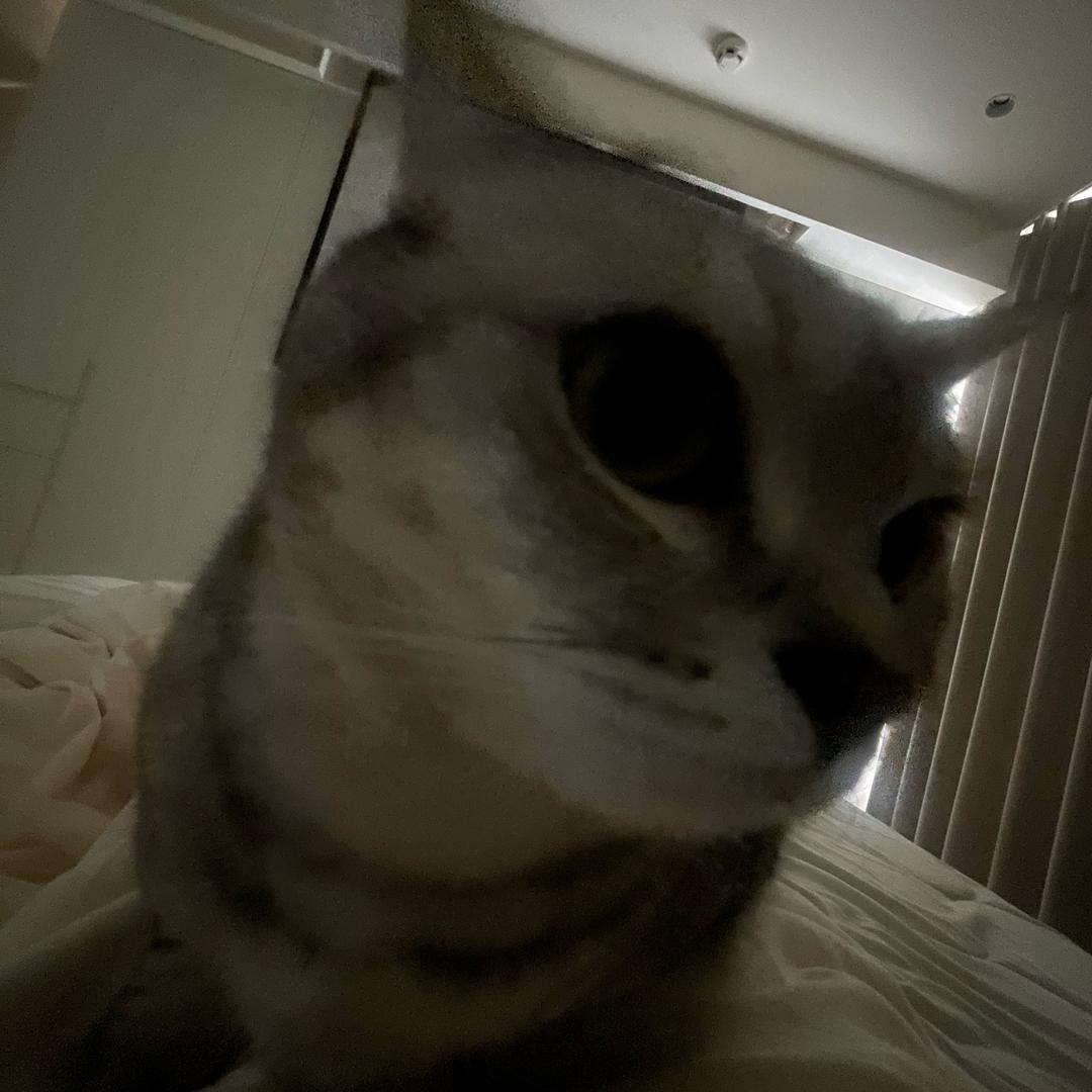 地球没姐不行