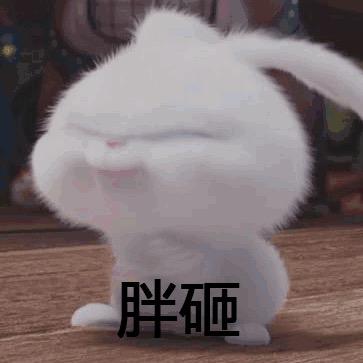 鑫古广佛线