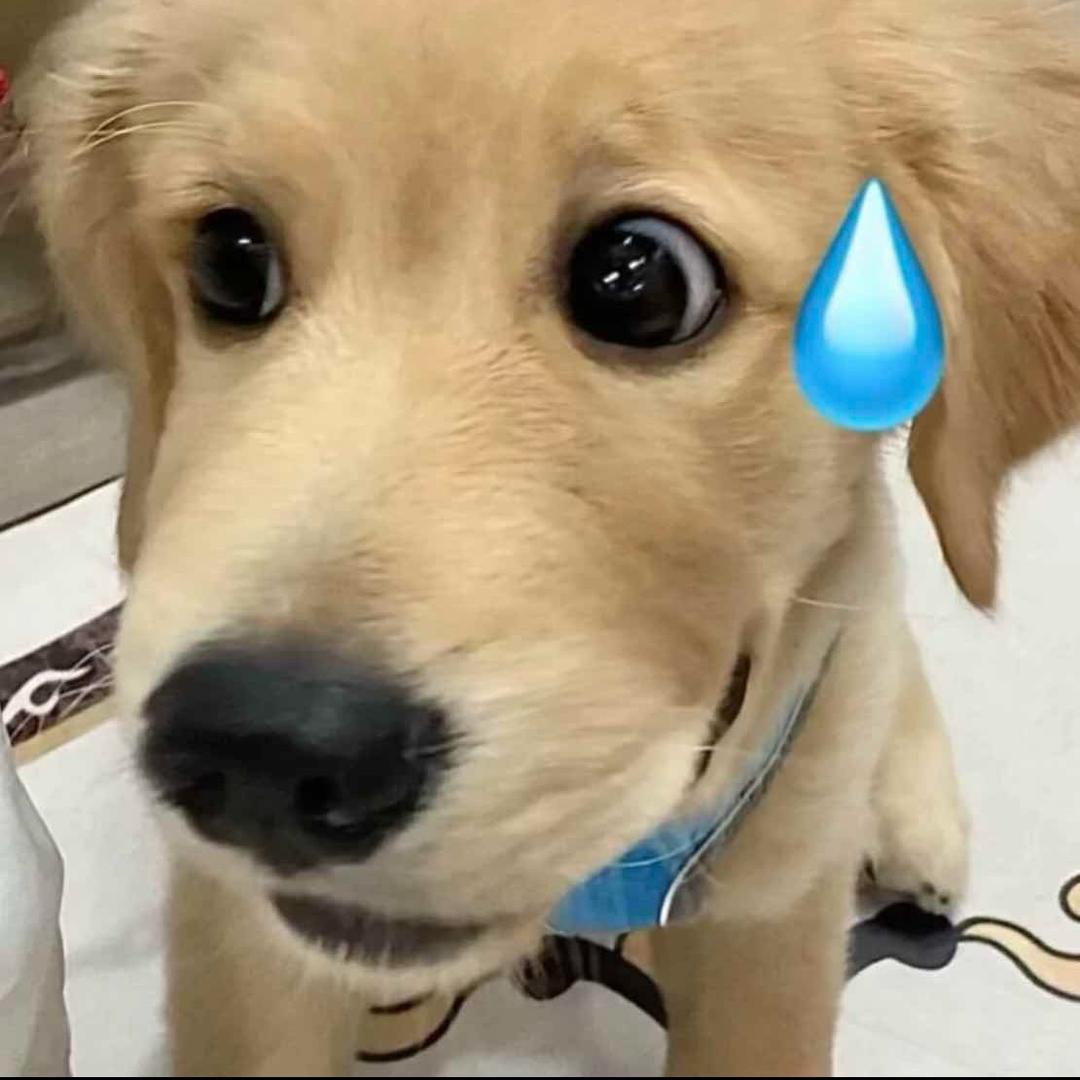 咸鱼.
