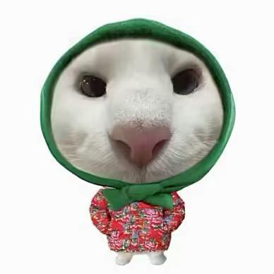 忙于喂鸡