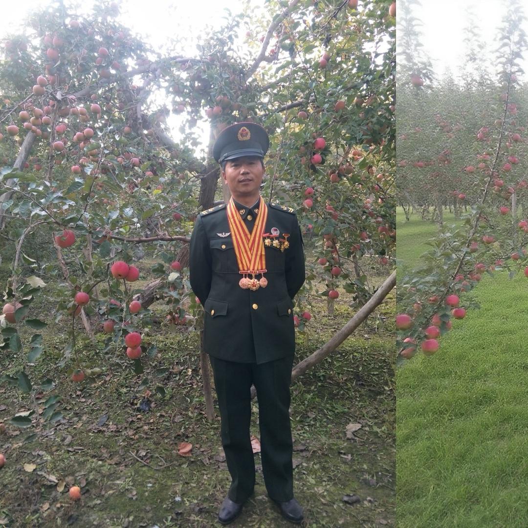 小钢炮@冰糖心苹果