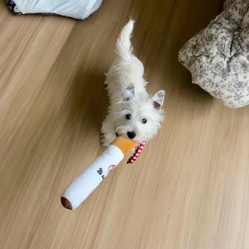 我爱吃小蛋糕