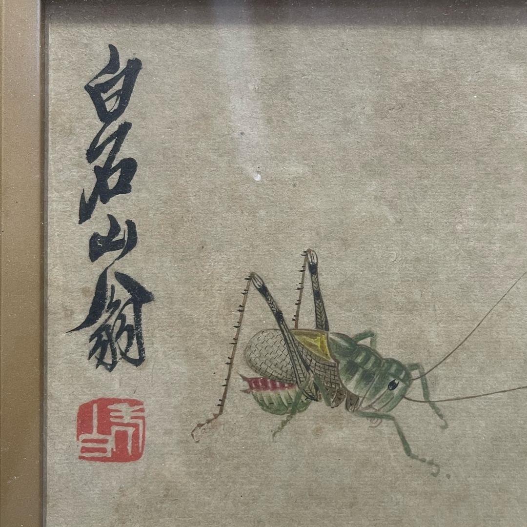 盛世收藏
