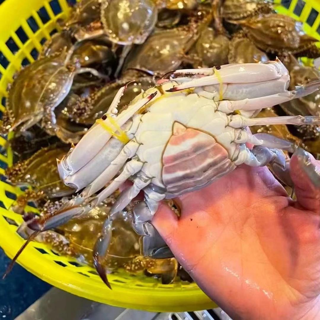 沪阿九海鲜小时达新鲜海鲜原产地