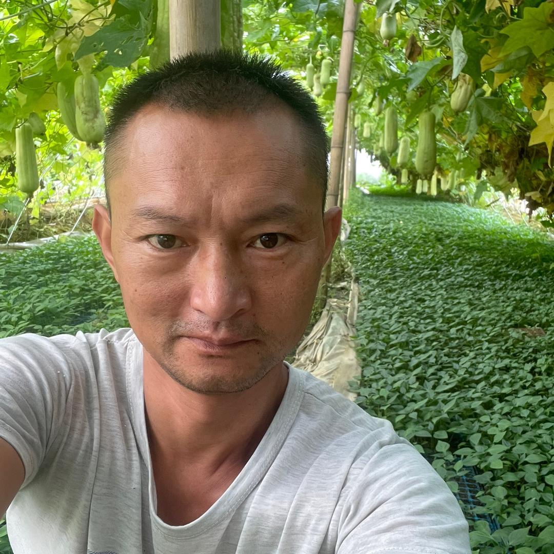 阎宽农业蔬菜苗培育