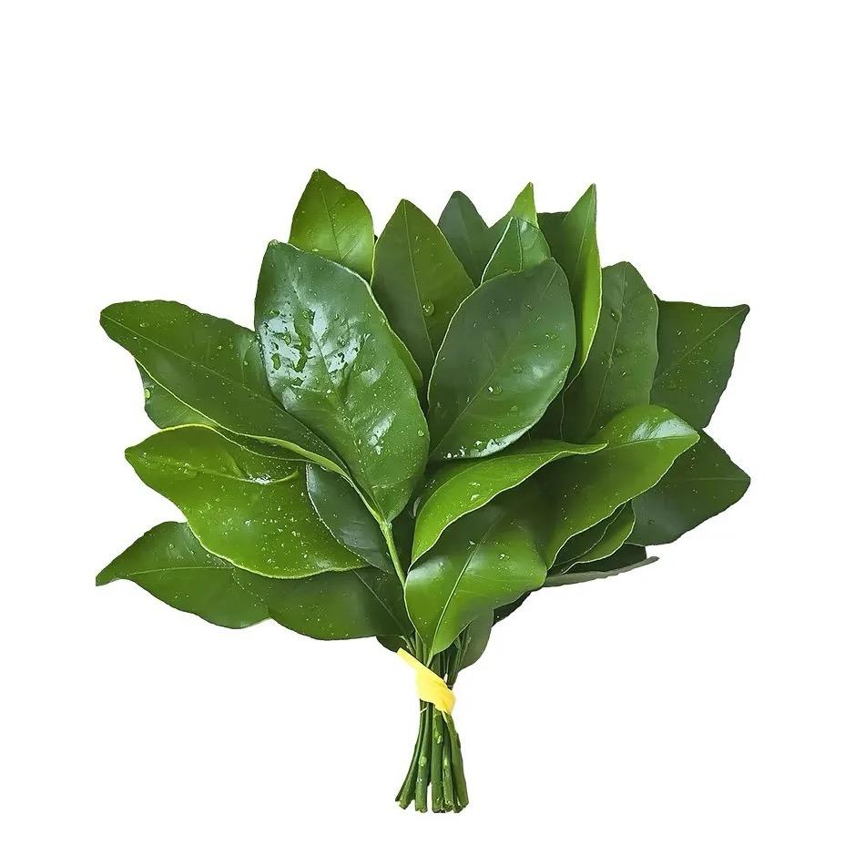灭绝师太