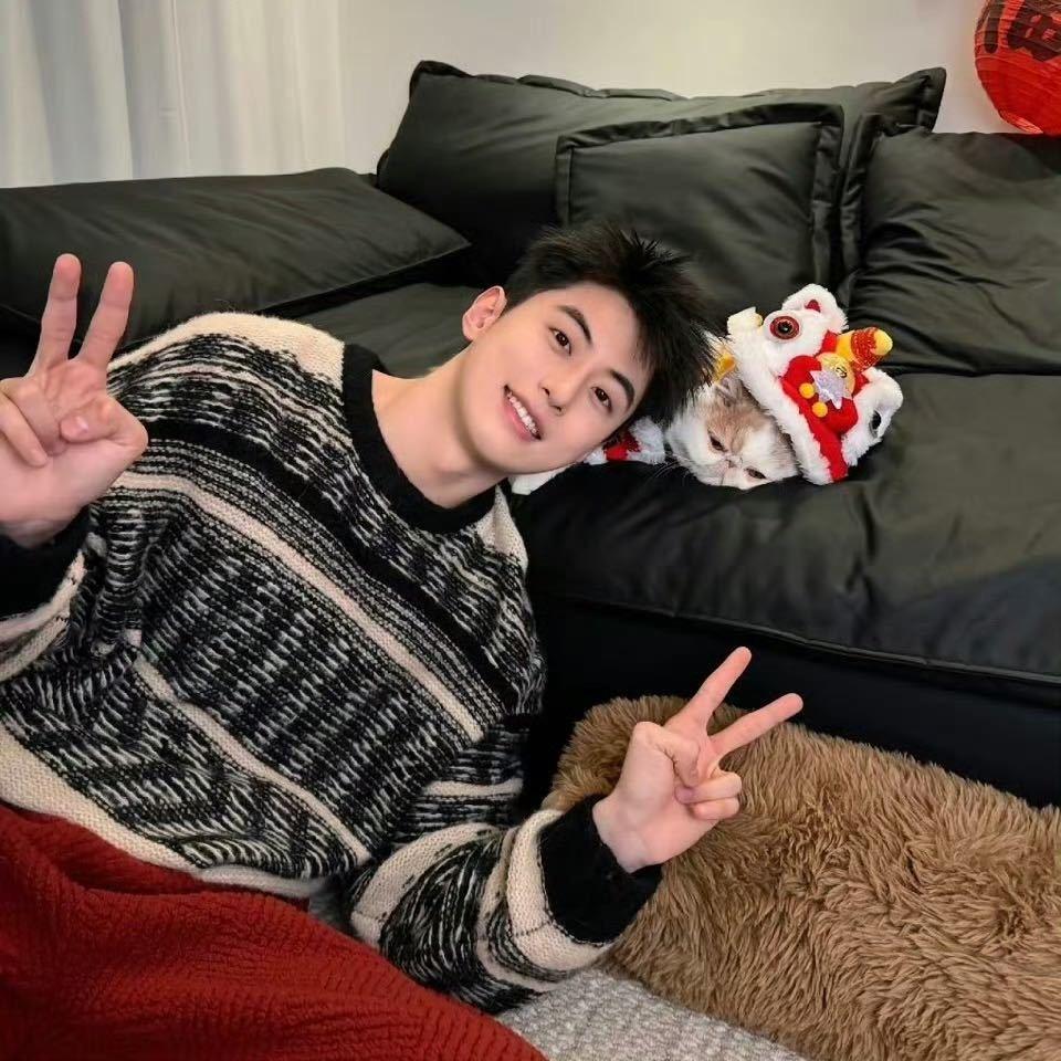 羊村你喜哥