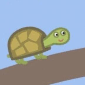 世界上最聪明的人