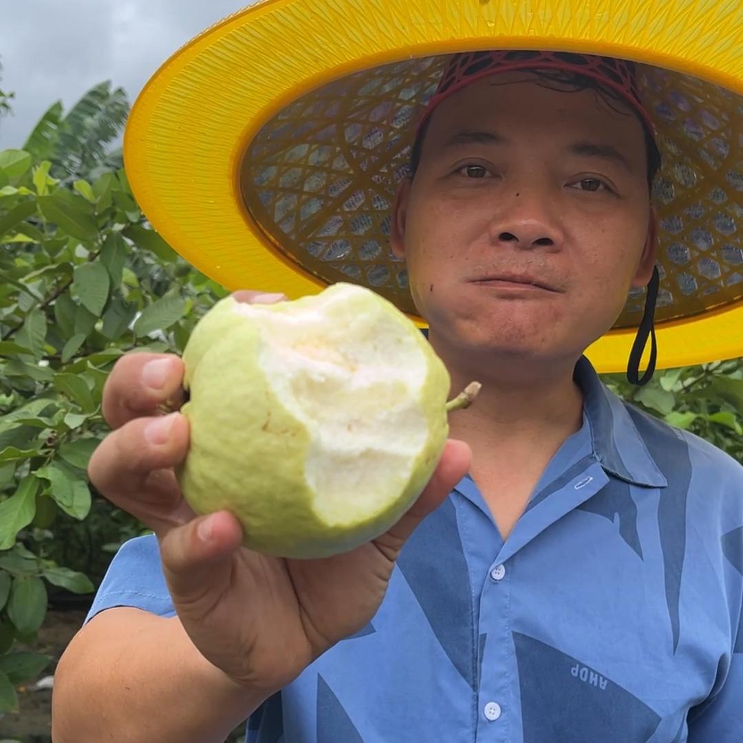 乔峰的生活