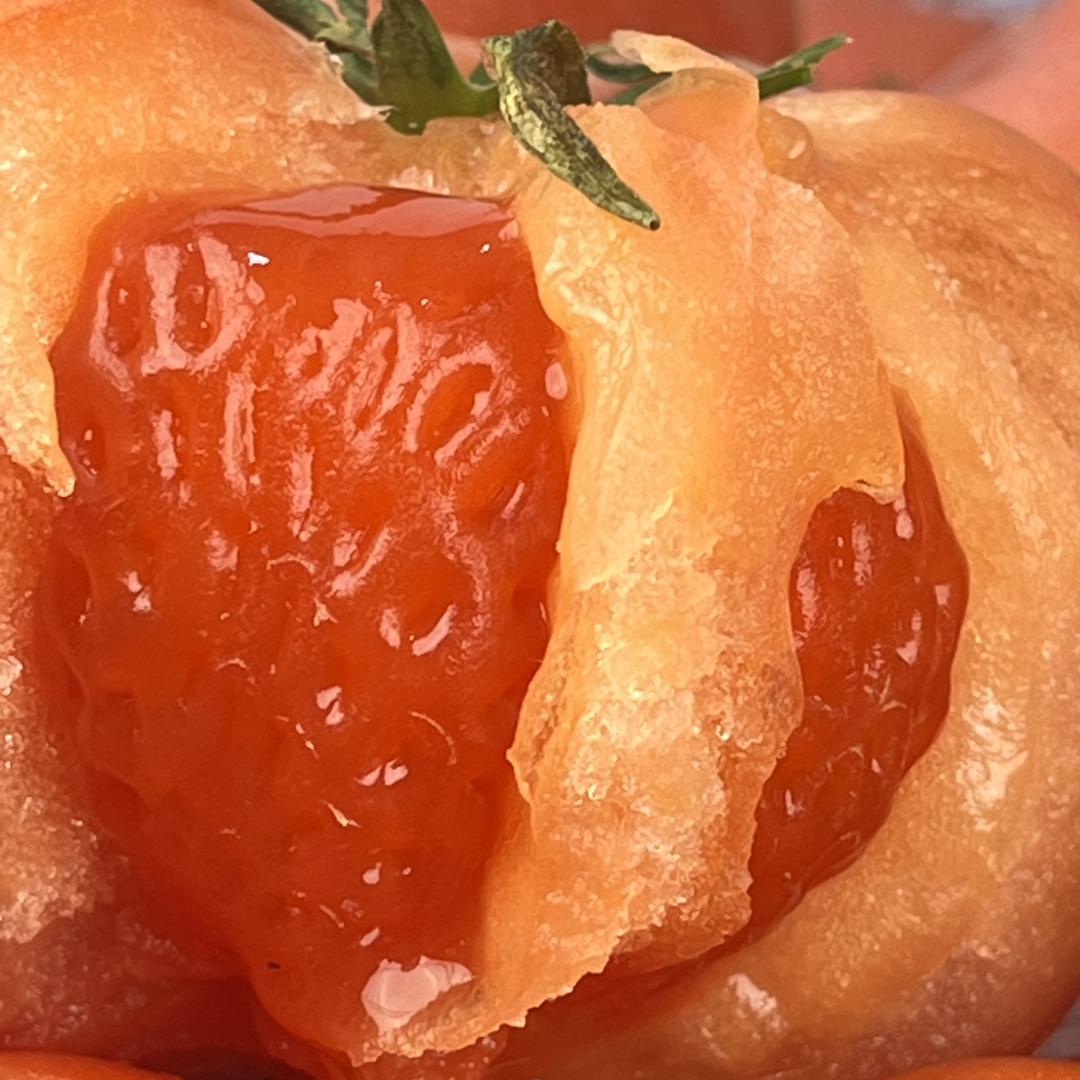 恩施高山甄选现摘现选