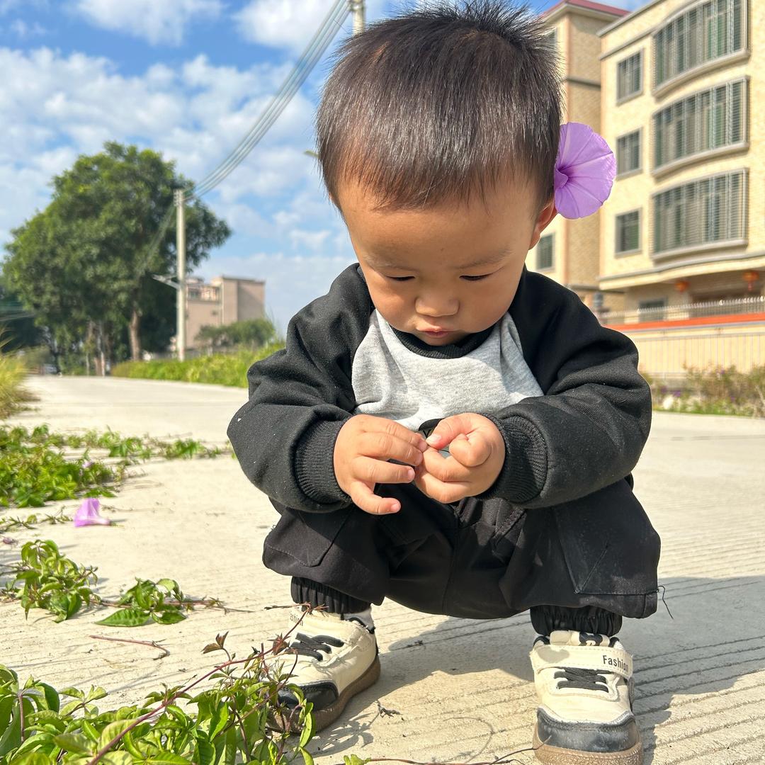 晨晨小太阳🌞
