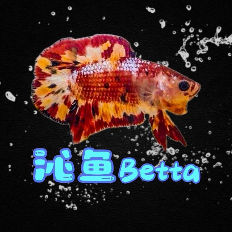 黄油泰斗场