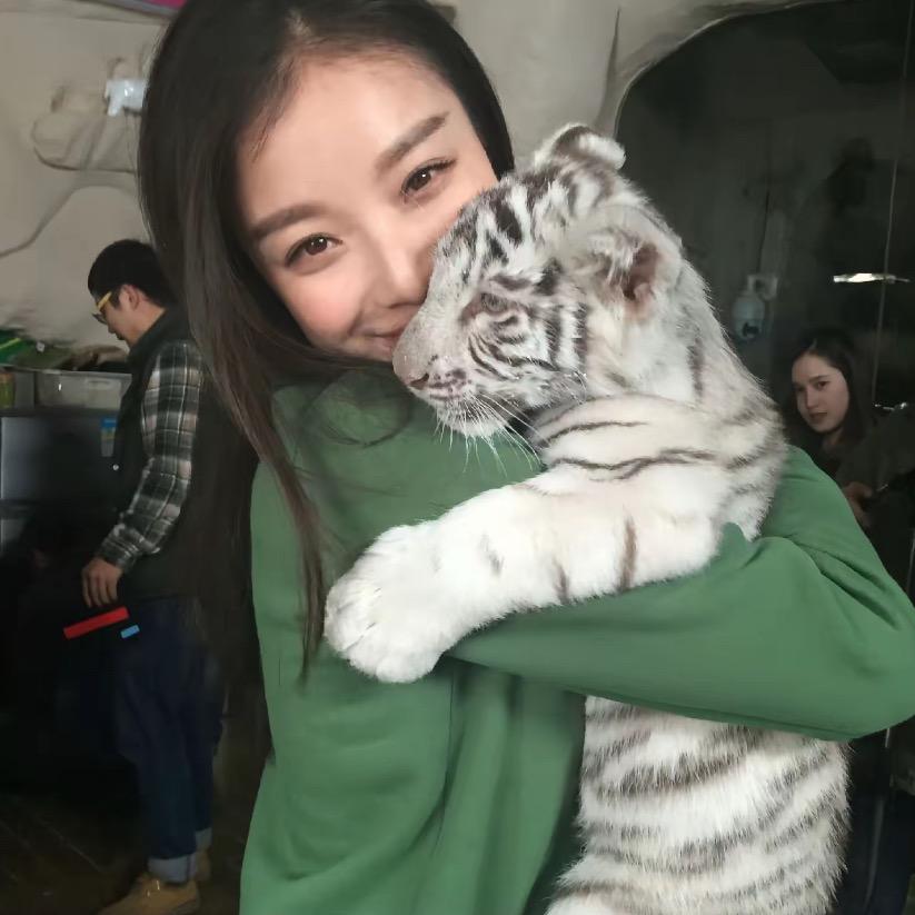 =^-^=