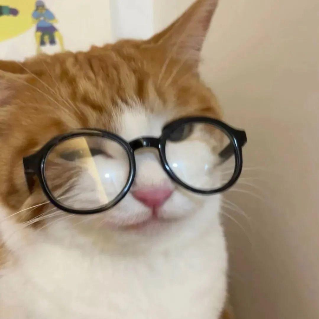 少点评本少