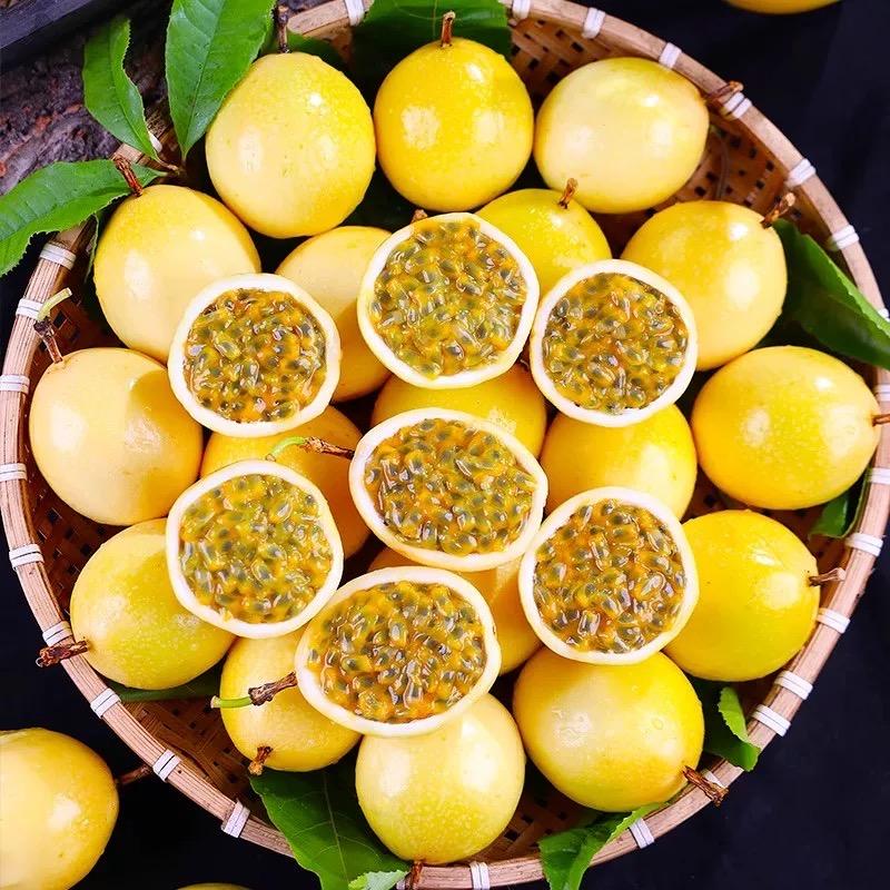 华南生鲜水果交易中心