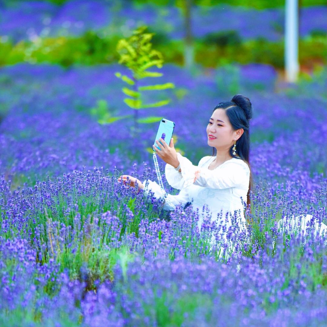 石林逍遥