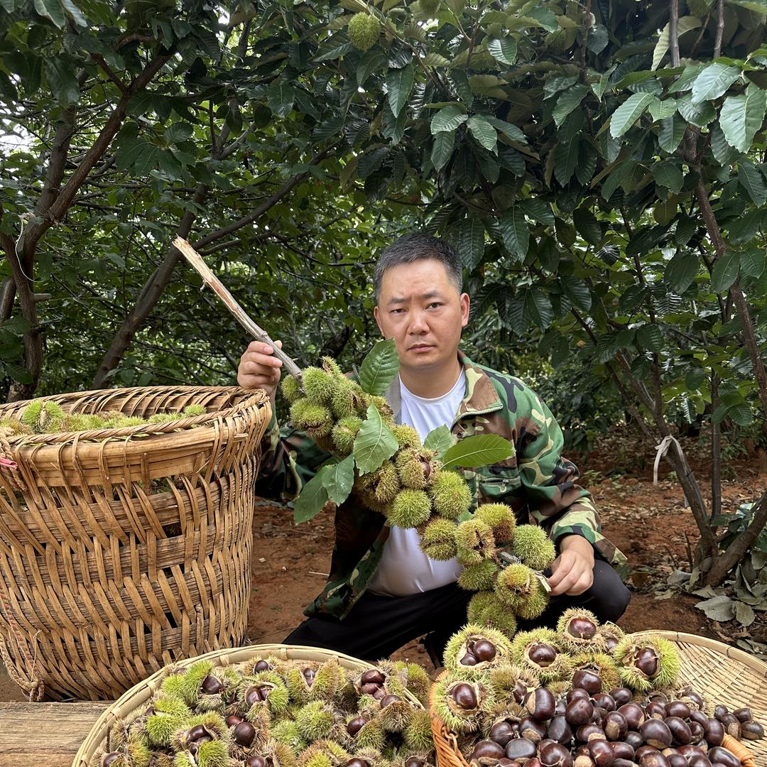 江小凡鲜生【板栗季】