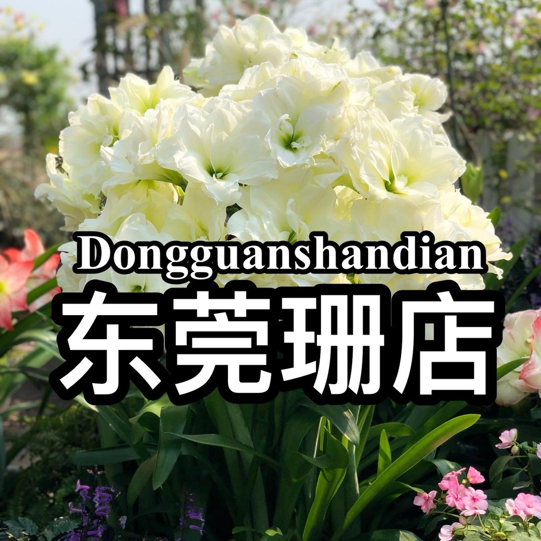 花友东莞珊·爆花掌门人
