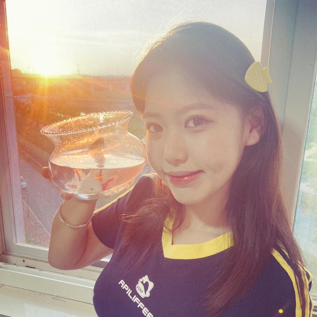 不吃呆魚_
