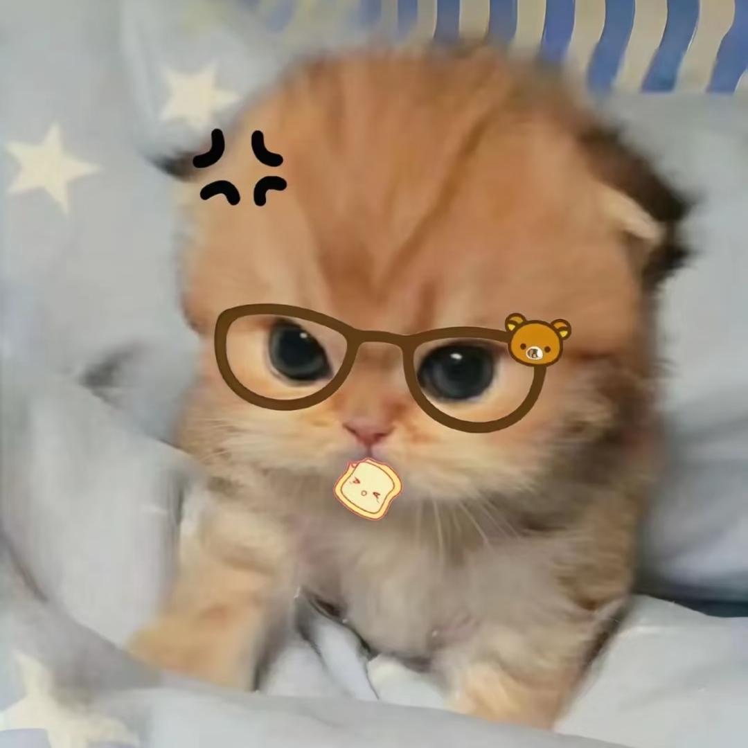 猫猫 u 点困