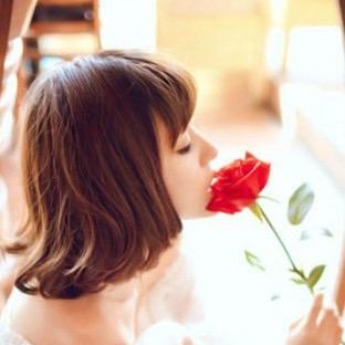玫瑰1号🌹