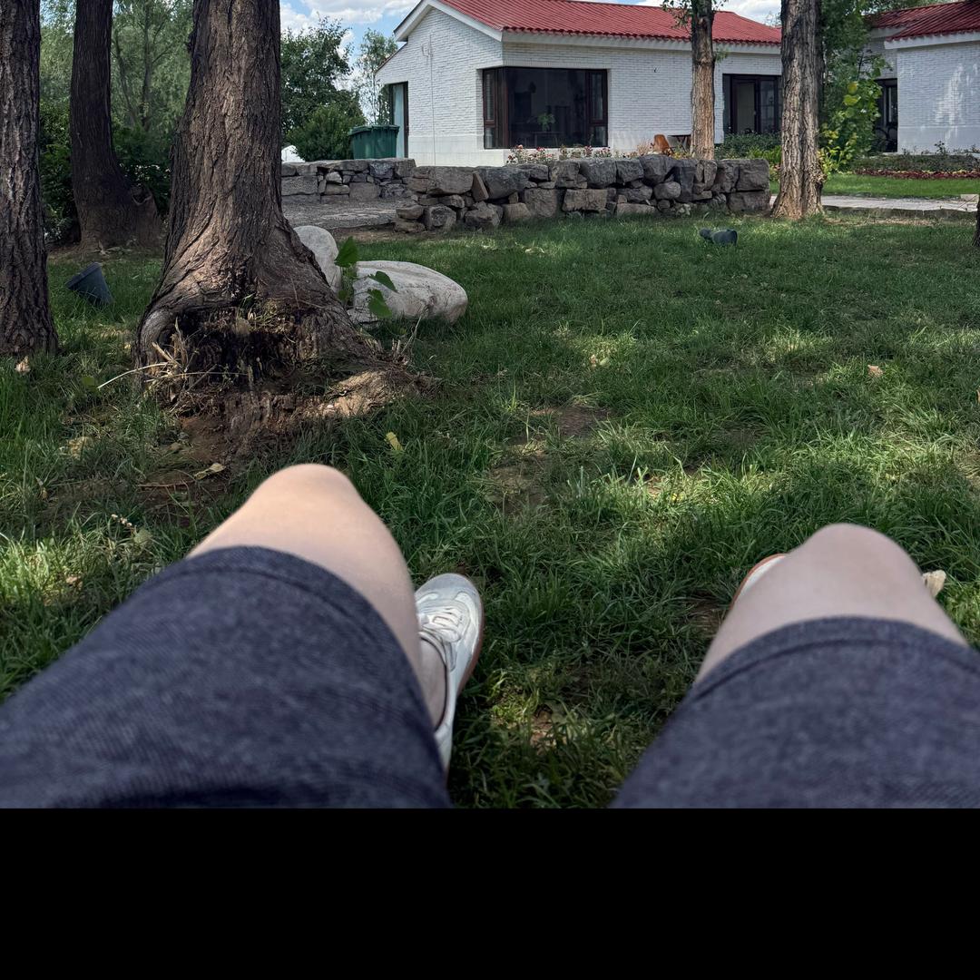 紫玥观宸 吕公子