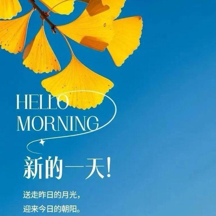 缘汇