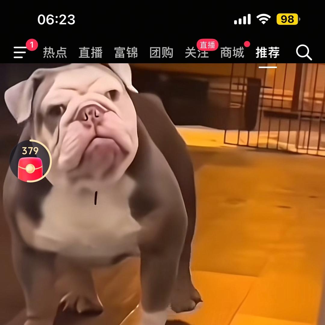 找个人陪我过余生