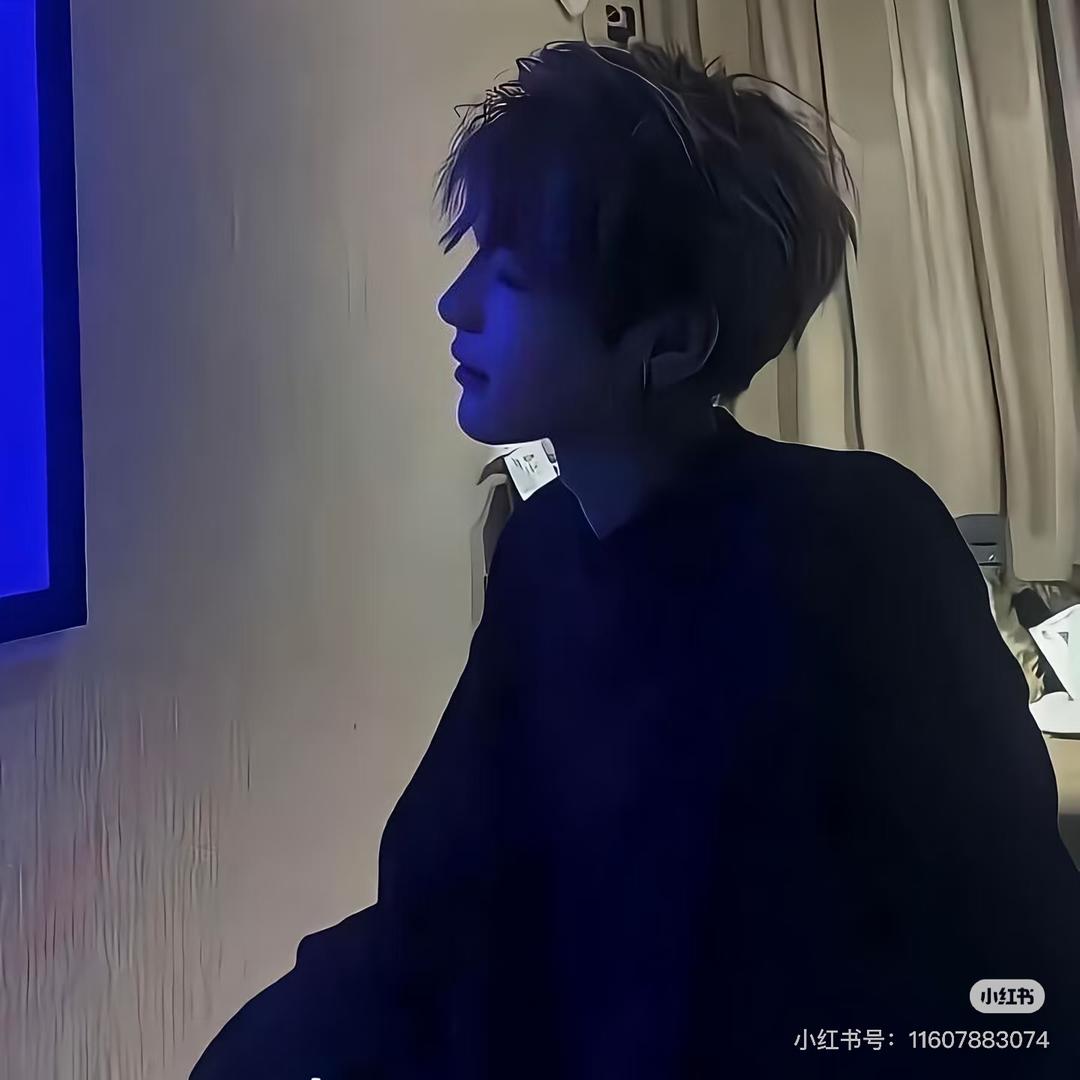 嘉 琦