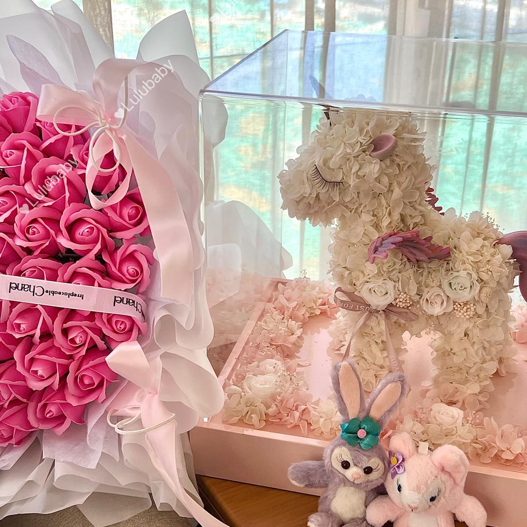 噜噜崽崽的工作室