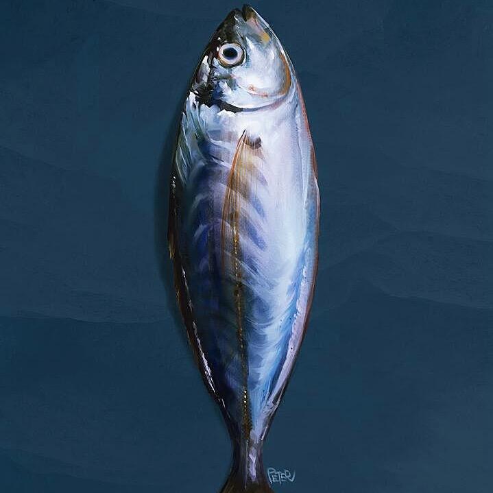 小咸鱼