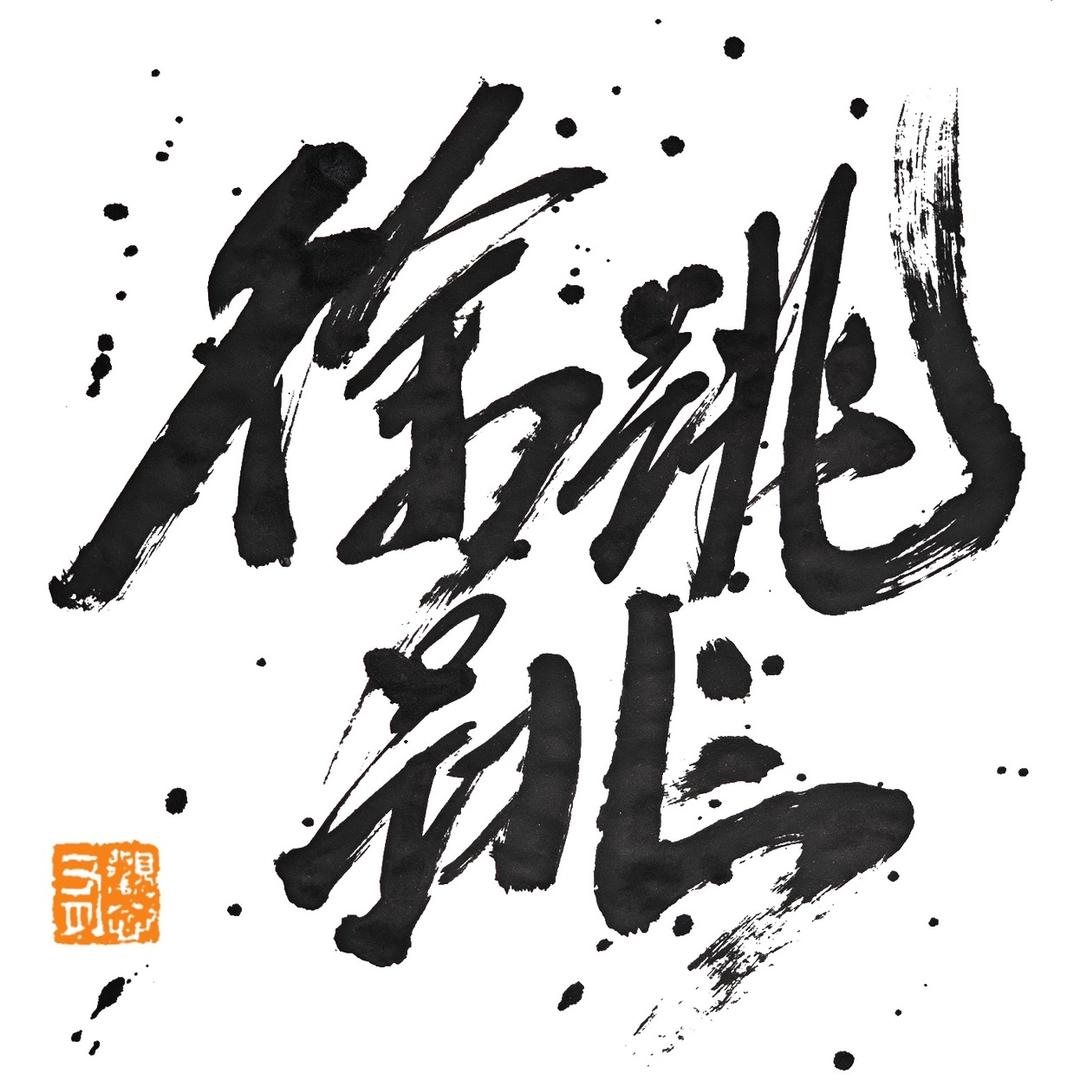 徐跳跳的缅因猫