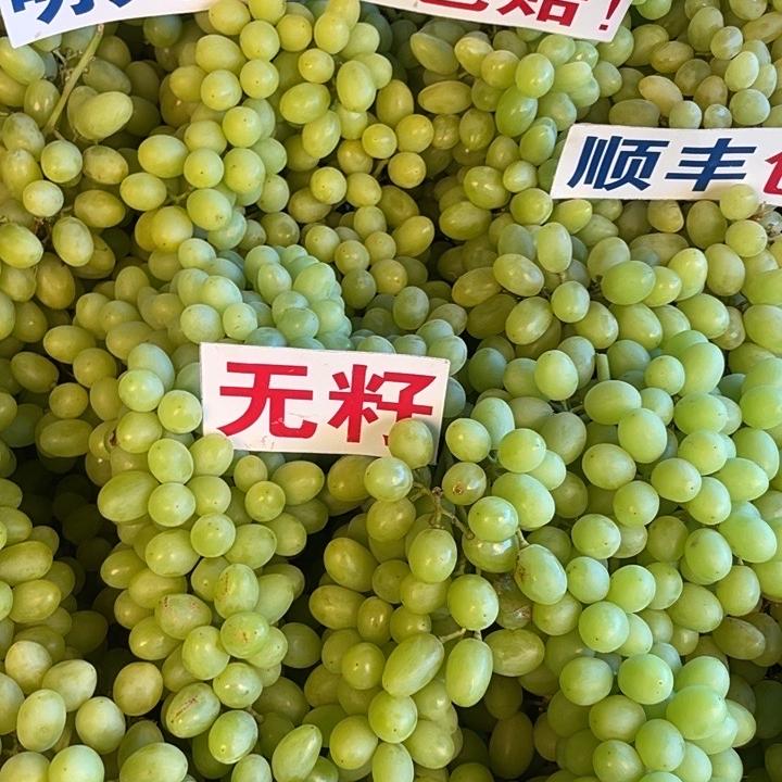 潮果匠柚子明天到