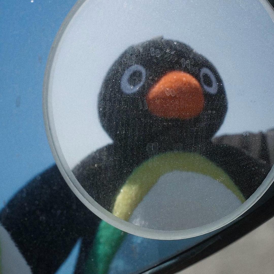 ：  ）　　　　    🪳