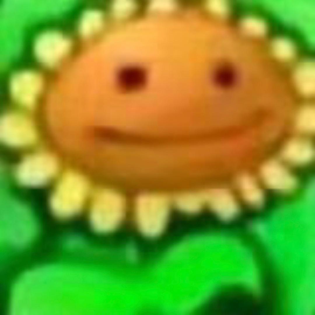 向日葵子