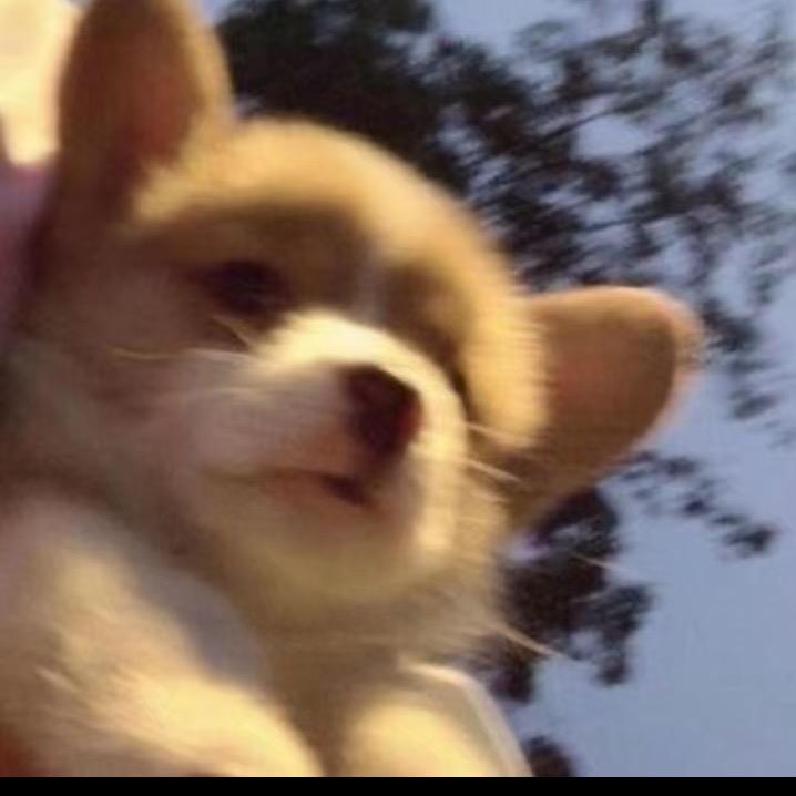 樂樂