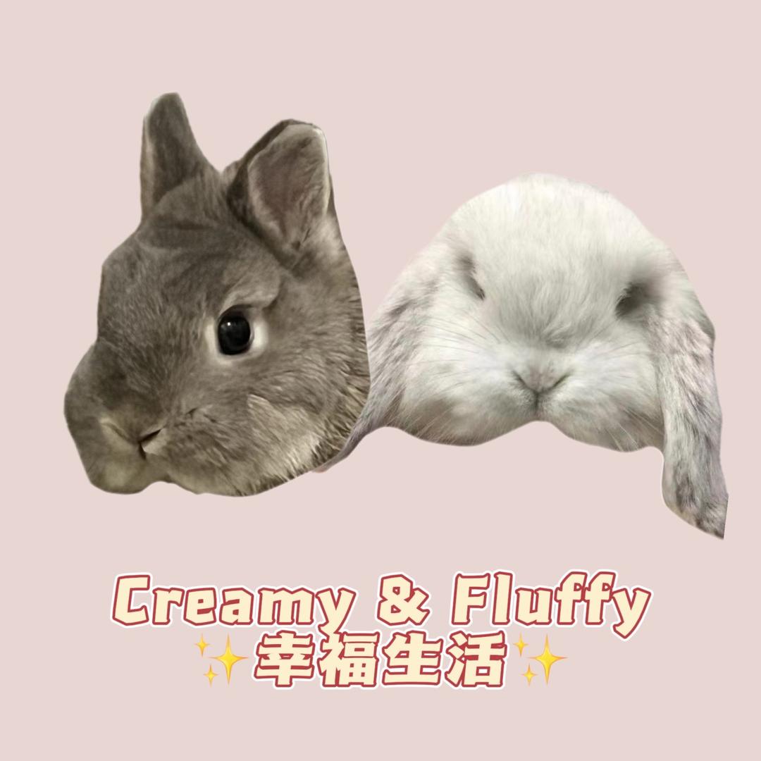 Creamy&Fluffy