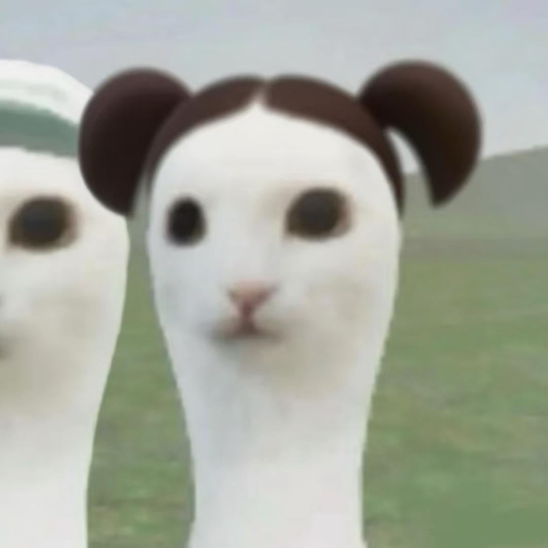喵了个咪