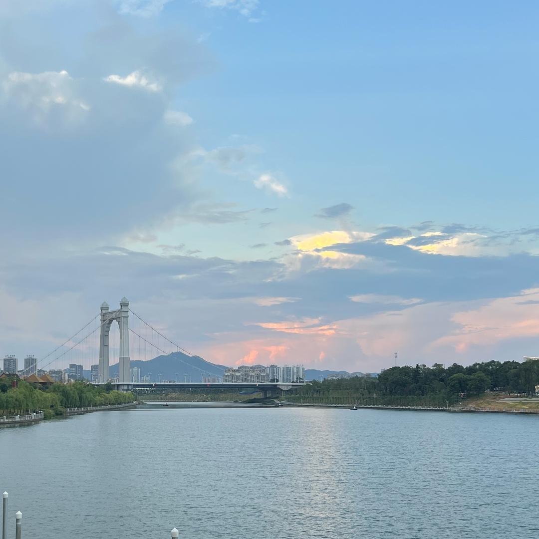 我是杨豆豆的咩咩