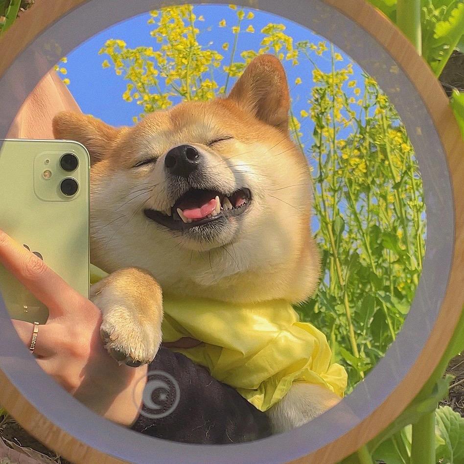 Y YY